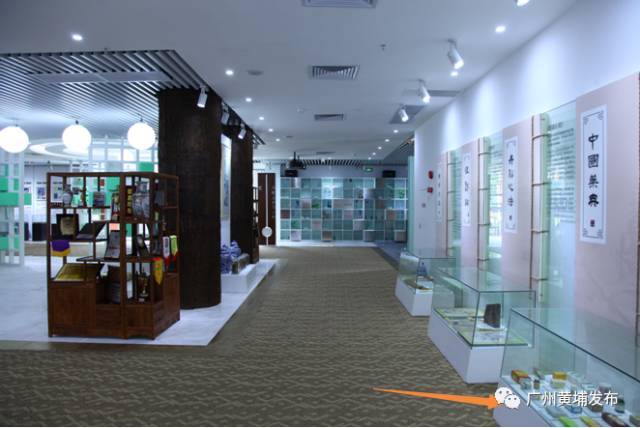 比同仁堂还长七岁!走进白云山中一展厅,探秘岭南中药“活化石”