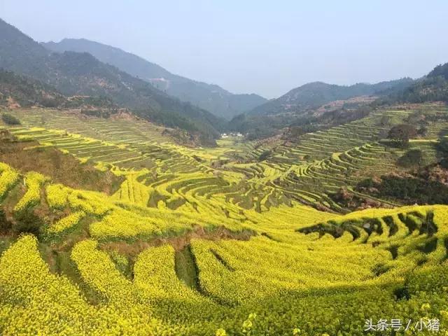 关关谢童打卡篁岭,关关和谢童去婺源是哪一集