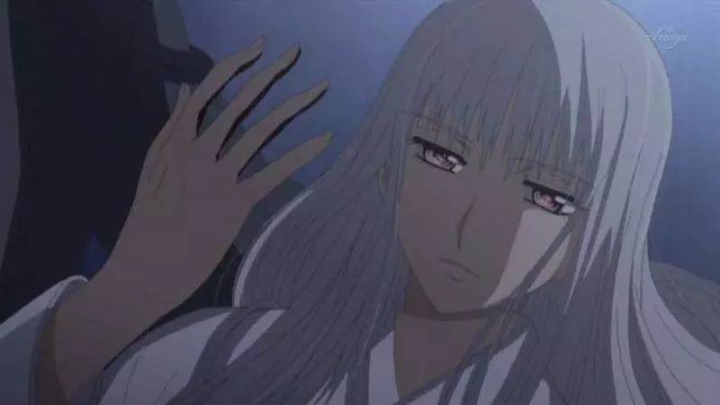 《吸血鬼骑士》,羁绊的爱与恨,来自少女心的宣战!