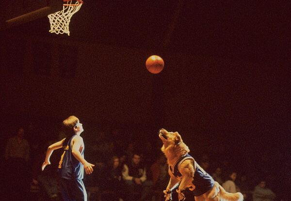 电影飞狗巴迪片段,飞狗巴迪电影中文版