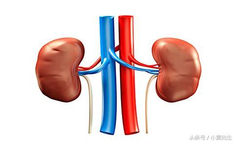 肾病综合征营养食谱大全,肾病综合征能喝营养快线吗