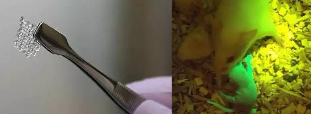 人工卵巢3d打印方法,人体器官能3d打印吗