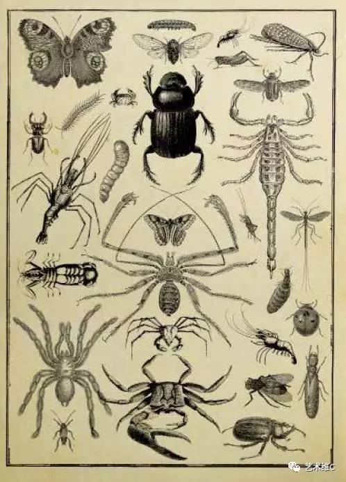 大英博物馆柜子,大英博物馆家具是什么