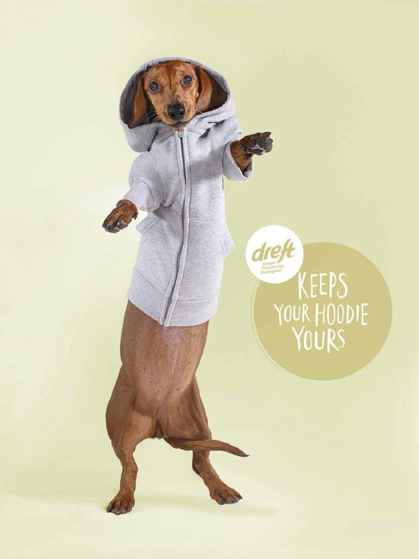 洗衣液广告模板创意视频,cctv1蓝月亮洗衣液广告