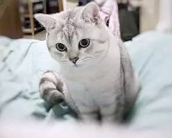 太阳直晒的防晒方法,太阳这么大晒黑不可怕