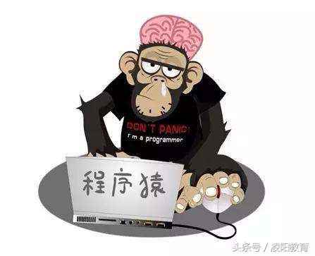 怎么提升自己编程能力,如何让自己的编程水平更好