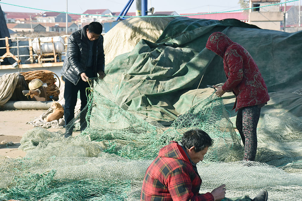 经典海鲜摄影图片,鲜活海鲜摄影技巧