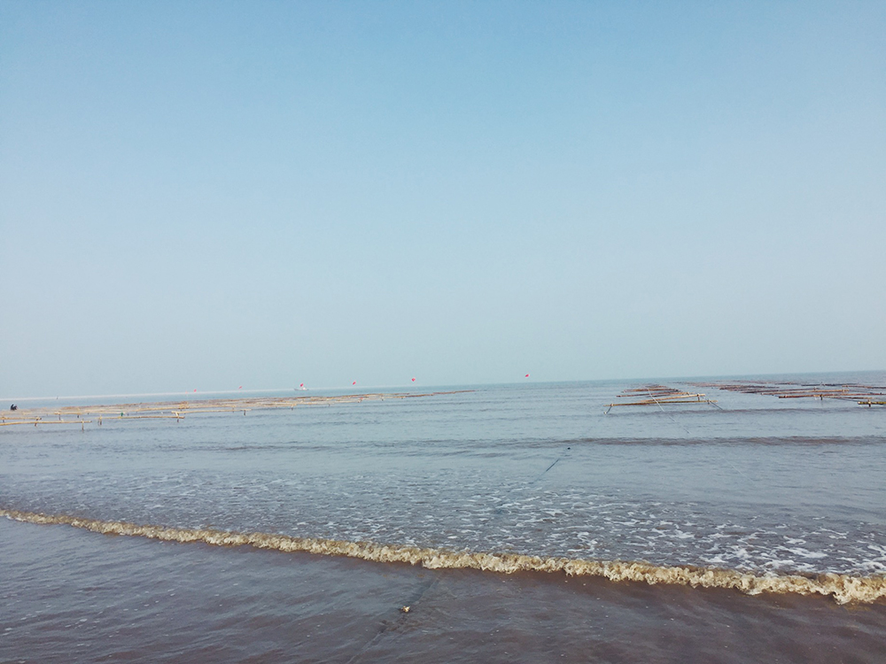 经典海鲜摄影图片,鲜活海鲜摄影技巧