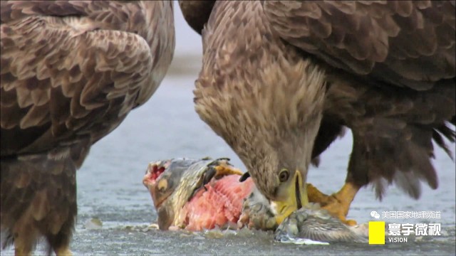 瀵板畤寰瑙ｆ瀽,瀵板畤寰