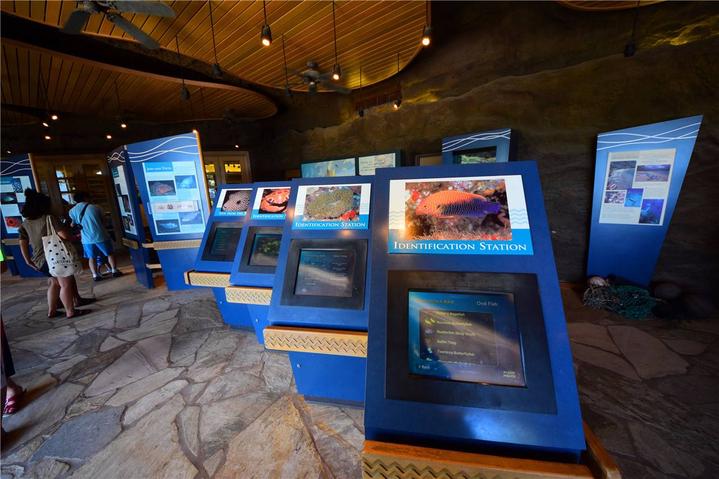 骨灰级探险视频,水上运动场夏威夷maui岛浮潜