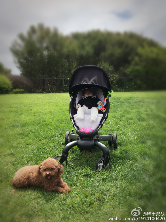 章子怡女儿颜值逆袭,章子怡女儿有多聪明