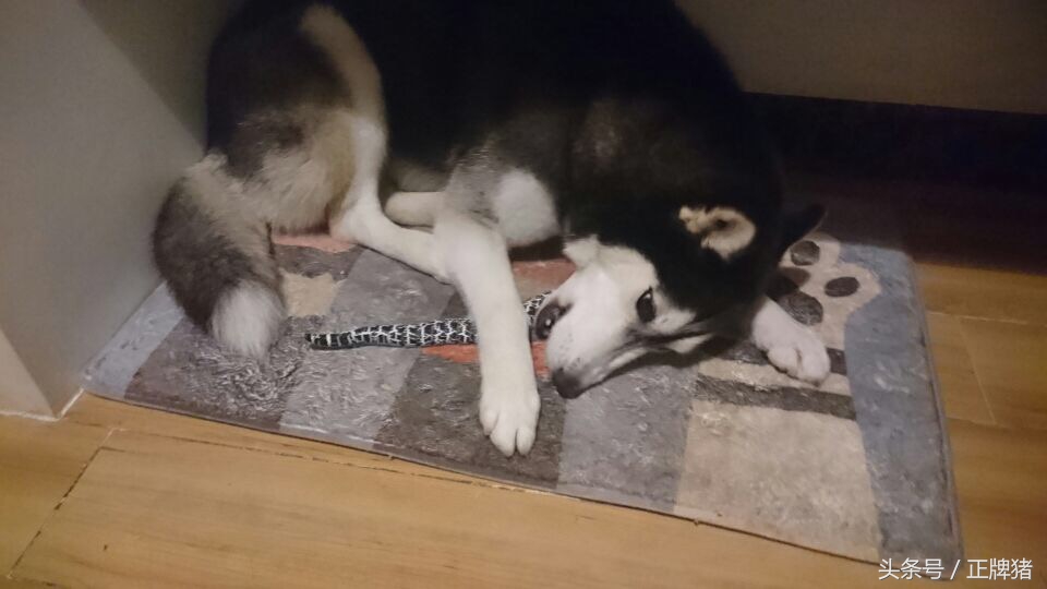 谈恋爱期间女朋友生日送什么礼物,女朋友生日礼物送给她什么好