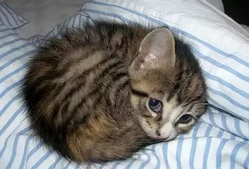 职场表情包朋友圈,职场表情包套装