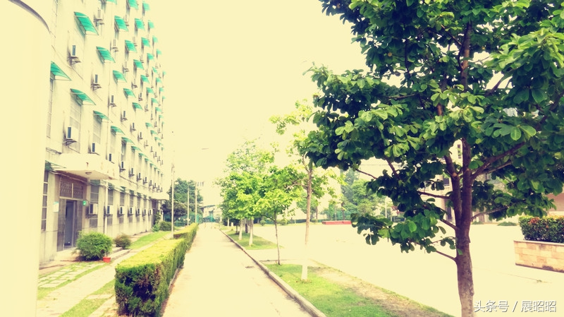 合肥中科大附属中学在哪,合肥中科大附属中学是公立学校吗