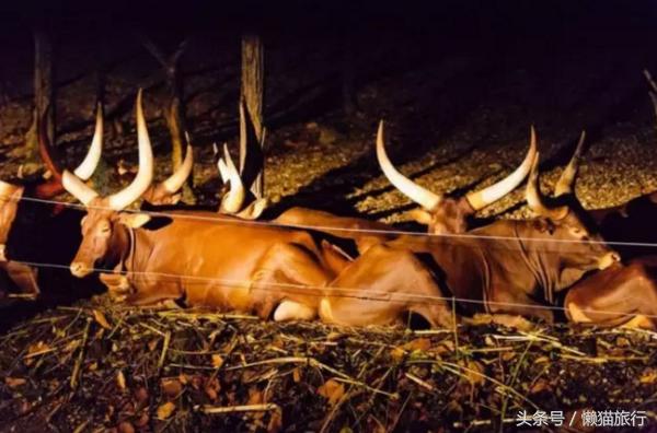 亲子游适合去泰国哪里,泰国普吉岛亲子游旅游攻略