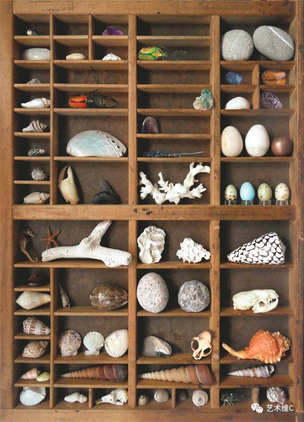 你猜猜，几百年前人们是怎么收藏的？
