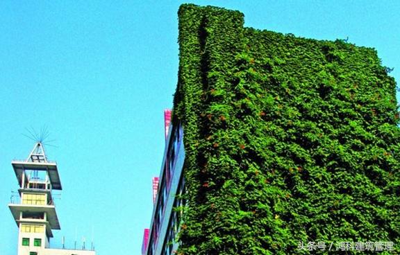 绿色建筑材料的发展现状及展望,绿色建筑的现状和发展趋势论文