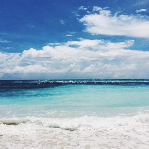 天气炎热狗狗也知道防中暑,夏季来临狗狗中暑知识早知道