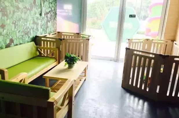 活得不如狗系列之，宠物酒店！