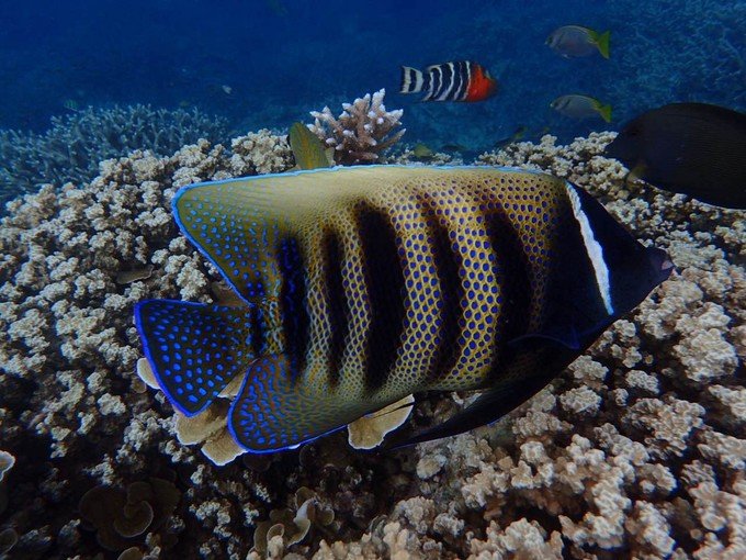 带着思念去海边,带着思念期待下一次再见
