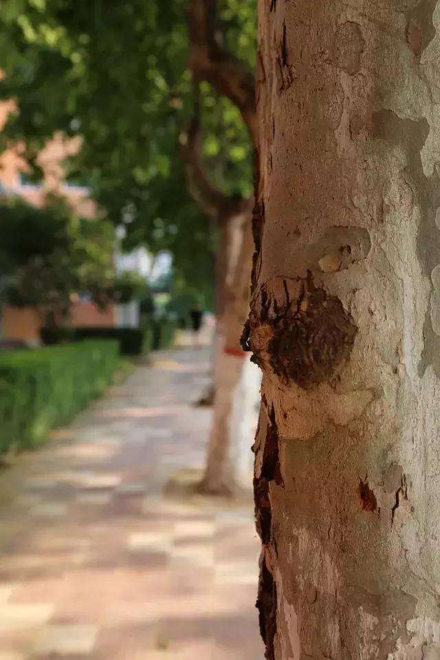 中国航天五零四所介绍,中国航天五零四研究所