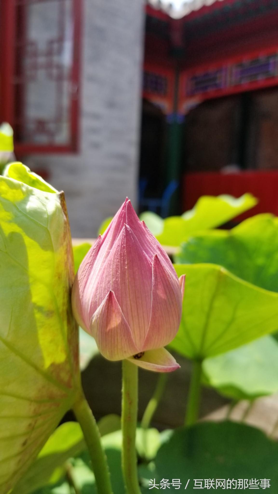 王者荣耀五杀神器,王者荣耀神器传说系列