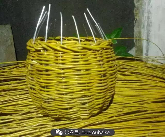 用多肉做花的方法,多肉植物自制方法