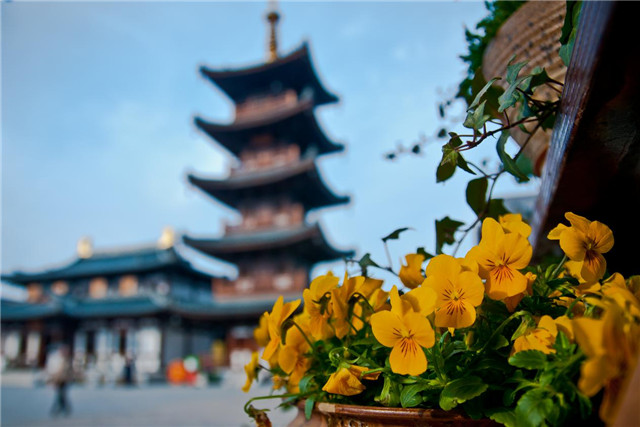 清风和煦，十里芳华，无锡灵山君来波罗蜜多酒店