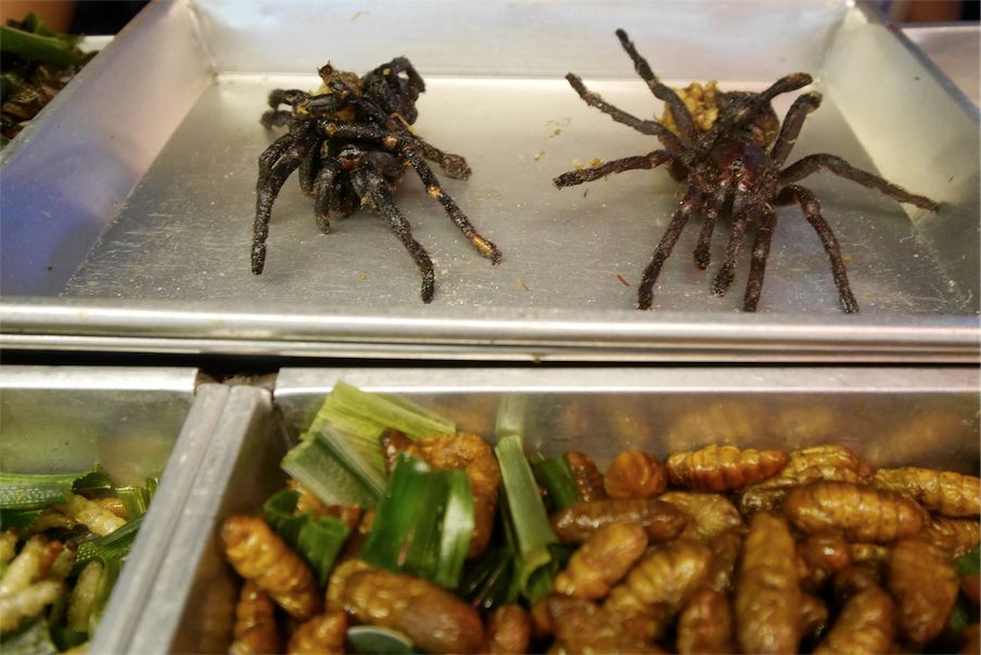 三款令人不可思议的美食,这些神奇的美食让你更惊艳