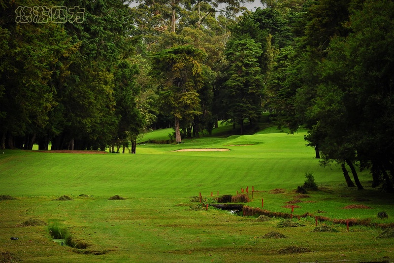 印度洋岛国上的小英格兰，浓浓英伦风，凉爽避暑地！
