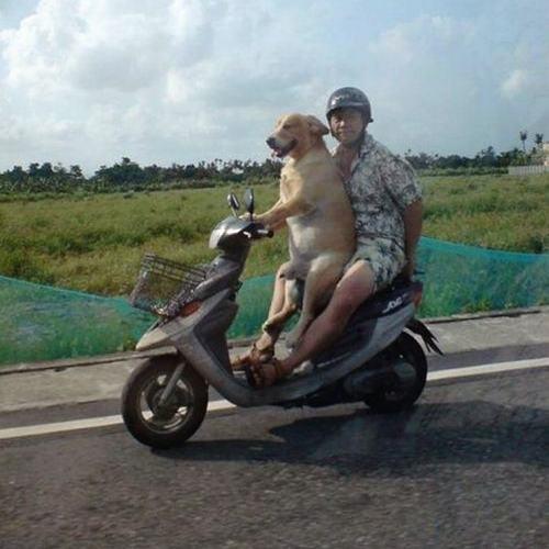 十大最佳摩托车型排名榜,全球十大最强摩托车排行榜