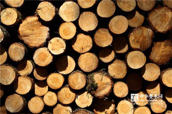 进口木材怎么报检,木材原木进口流程