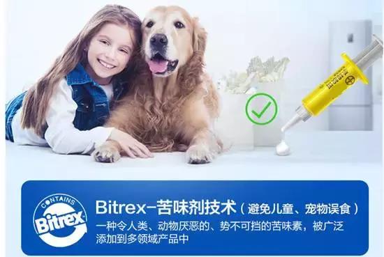 怎么对付蟑螂和蚊子和蚂蚁,家里有蟑螂蚂蚁蚊子老鼠一招消灭