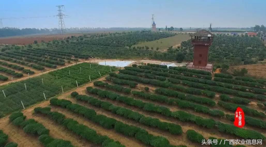 广西苏式园林,合浦周边园林