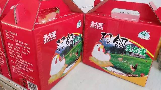 「双创百杰」鸡和蛋的故事—龙镇农场创业青年蓝翔