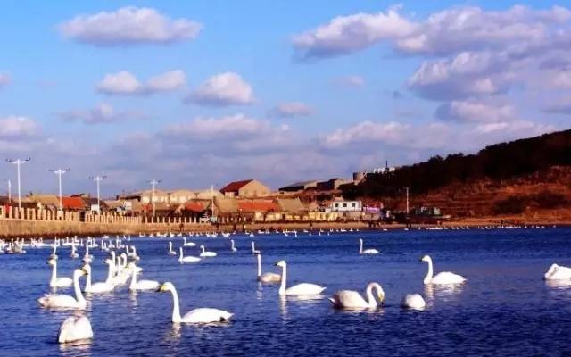 探寻山东古村落青岛8处古村落,青岛西海岸周边最美古村