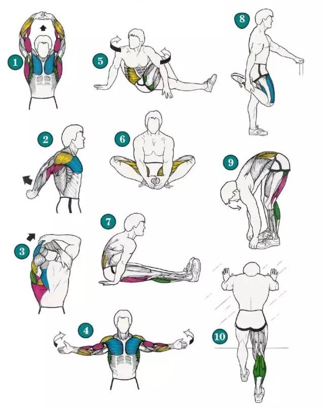 健身小体型和大体型区别,新手健身如何在两个月内改变体型