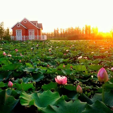 端午去哪里玩苏州,苏州端午山塘街