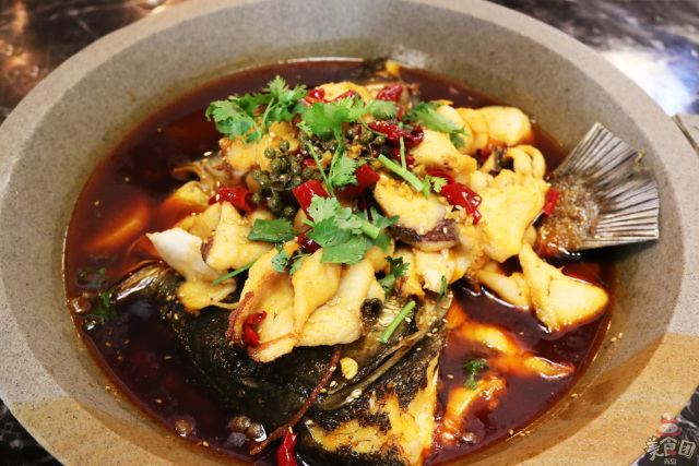 史无前例！秒杀吃鱼！这锅鱼的味道，猫和你都想知道！