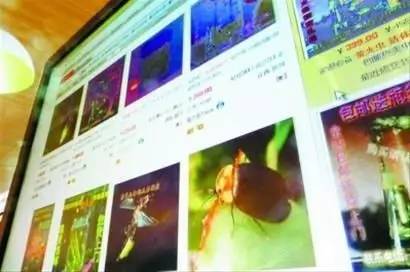 淘宝商家禁售公告,淘宝发布禁售信息防封