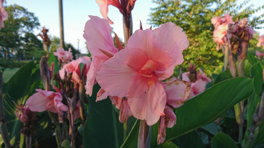 索尼xperia1iii对比三星s21u,小内存