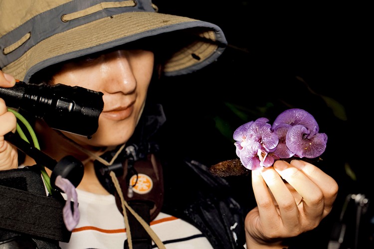 世界物种基因库在什么地方,探秘人类基因