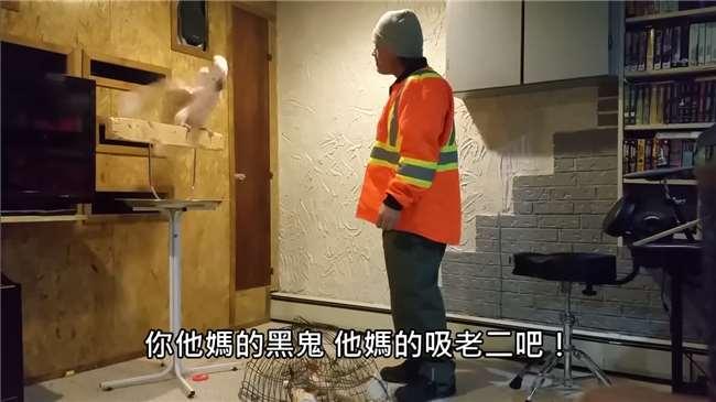主人故意踩坏鸟笼鹦鹉气得大骂,鸟笼被主人踩烂鹦鹉说话爆脏话