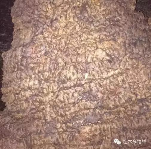 金丝楠和木中熊猫,阴沉木大熊猫