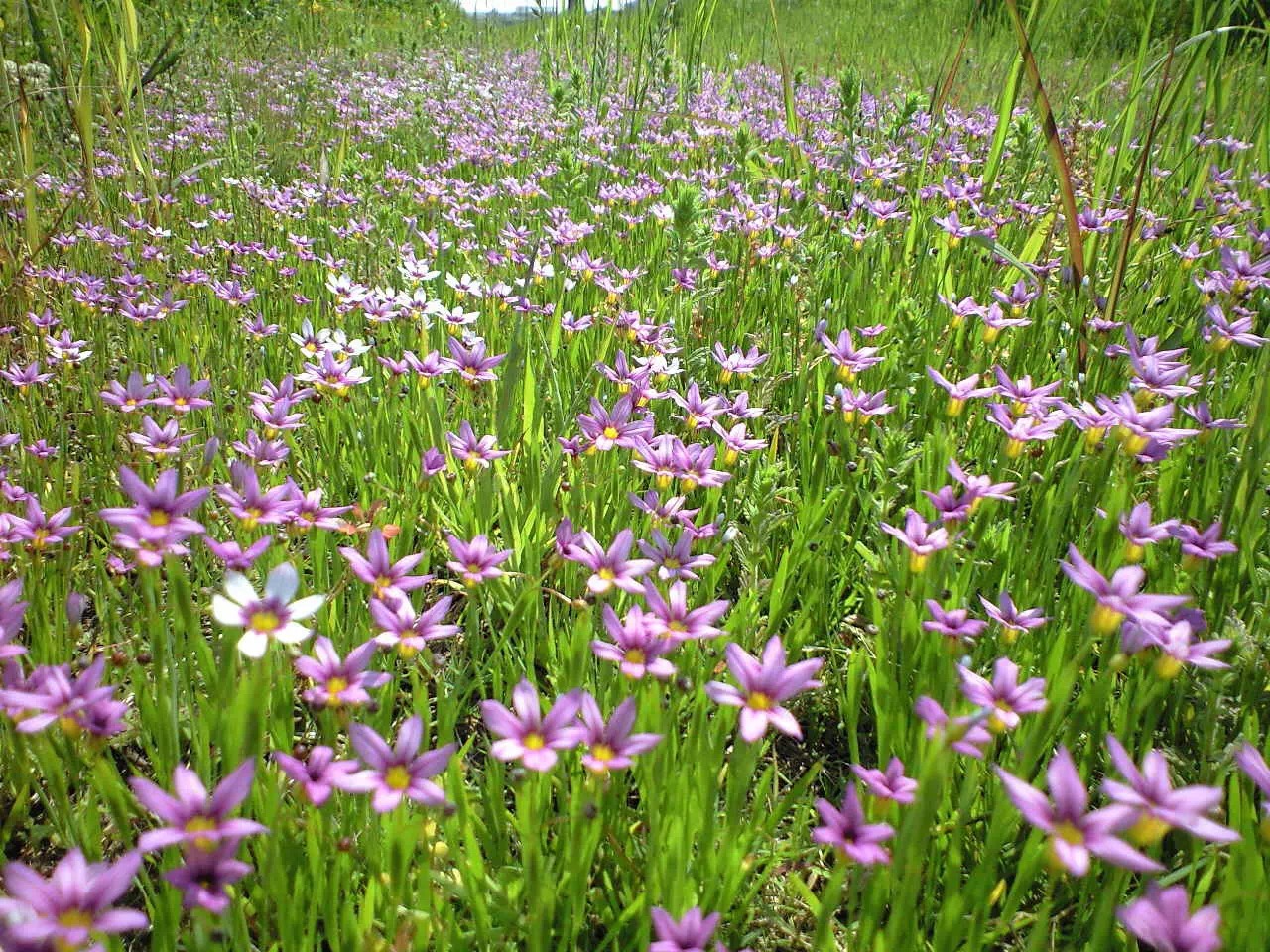 谁说我们大连人糙了，这些老地名儿都文艺的不要不要的！