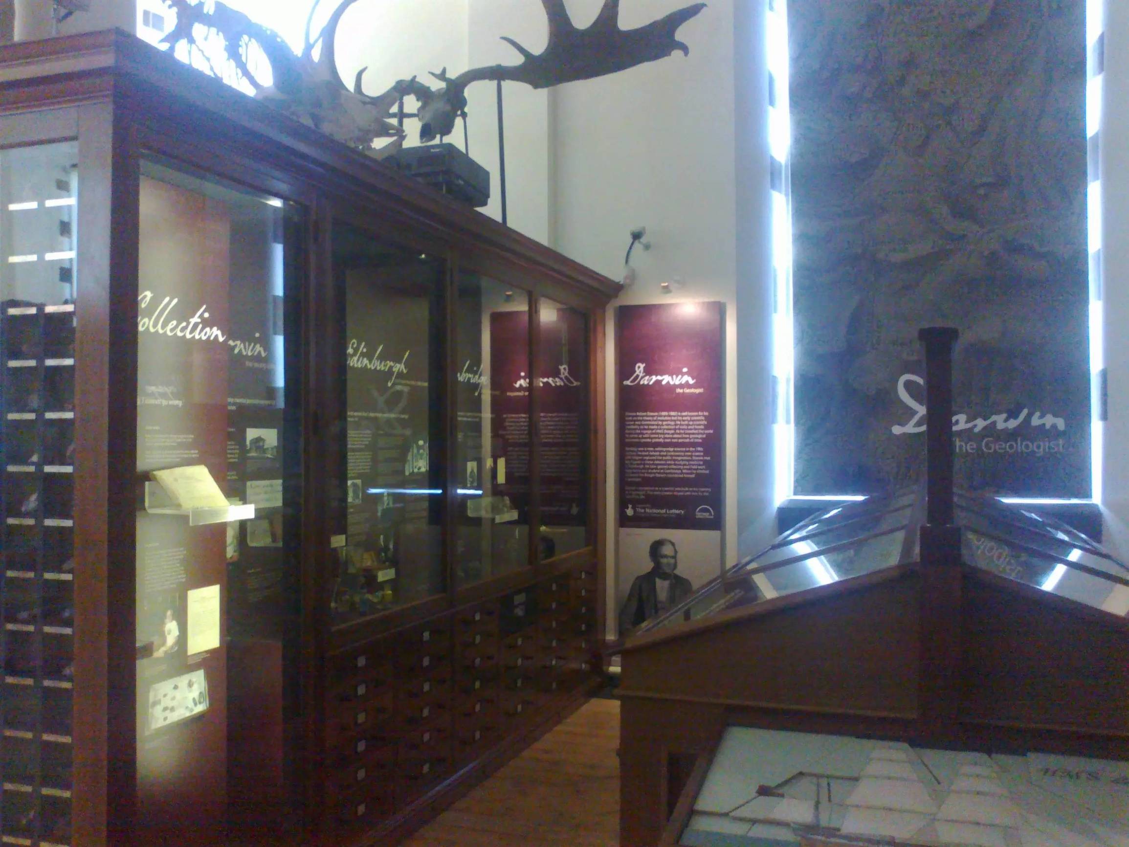 塞奇威克地球科学博物馆,塞奇威克