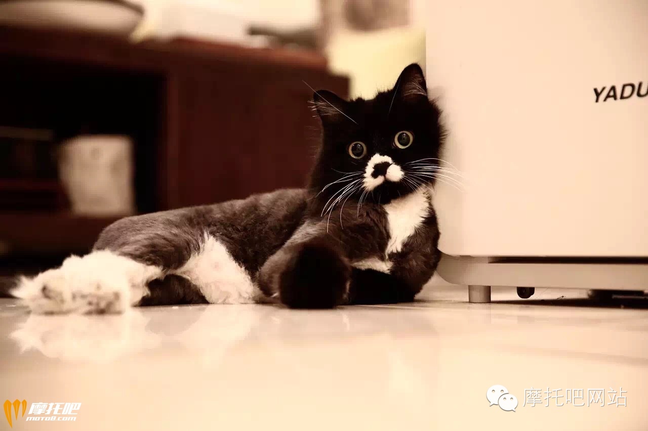 摩托梦！你一万公里的护航我600小时的守护