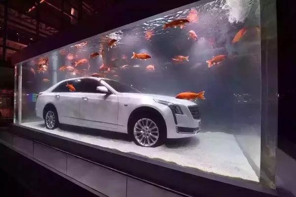 汽车进鱼缸是为了向星爷致敬?盘点惊艳的车企营销