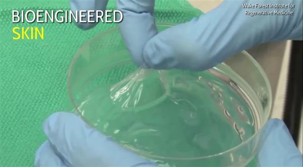 生物3d打印,3d打印生物的视频