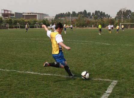 足球小常识30字小学生,足球小常识100个视频